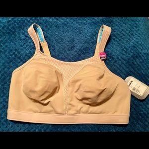 Champion Sports Bra 36DD